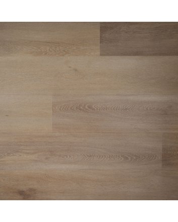 Douwes Dekker Ambitieus riante plak pvc - honing